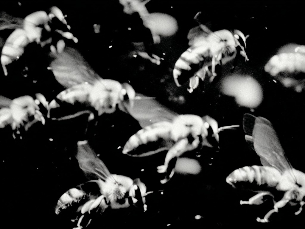 Bees in flight against a black background